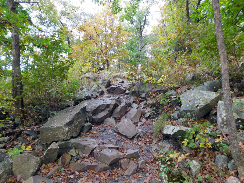 This is an example of the rocky terrain you'll encounter on River Trail.