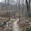 The Twin Lakes trail heads through rock into a drainage.