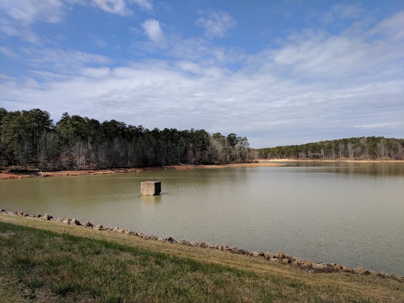 The lake level looks low on a cloudy spring day.