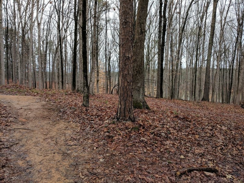 Along the trail, enjoy dense hardwood forests littered with fallen leaves.
