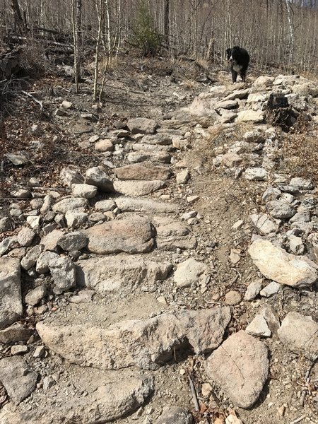 A rock step path aids your climb up Signal Butte.