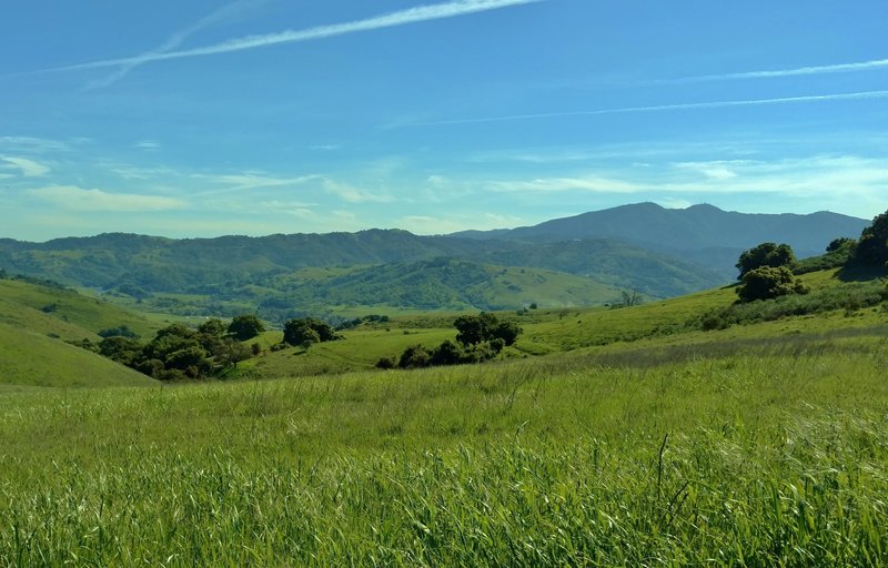 The Santa Cruz Mountains provide the background to your time