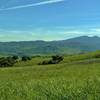 The Santa Cruz Mountains provide the background to your time traversing the rolling green hills of Santa Teresa County Park along the Vista Loop.
