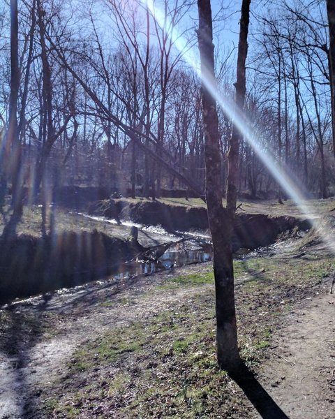 The lower trail follows along the creek.