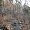 The trail is smooth and clear near the parking lot.