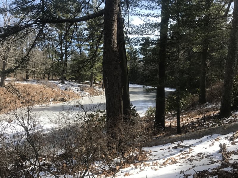 A pristine pond offers a quiet place to sit and enjoy your surroundings.