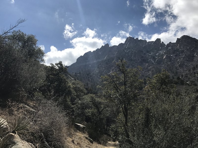 Enjoy a great view coming up the Pine Tree Trail.