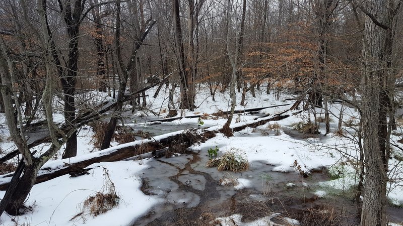 Winter weather leaves a blanket of snow on the trail in March.