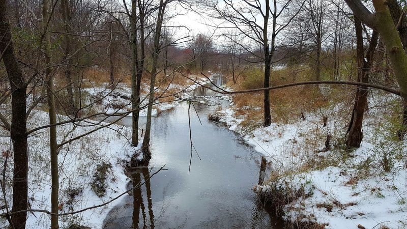 Enjoy pleasant views of the Paint Branch tributary near the bridge under University Boulevard.