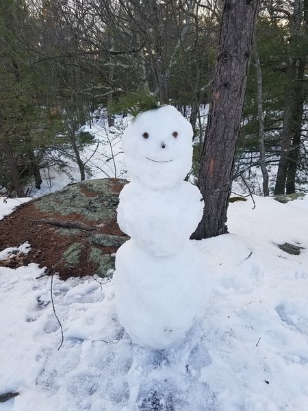 Greetings from Panther Cave. Do you want to build a snowman?