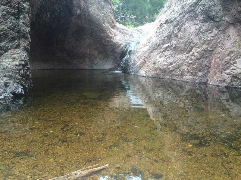 A swimming hole exists ephemerally in Grasshopper Canyon.