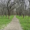 This scene is typical for the trails in the natural heritage center.