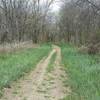 The trail transitions between double and singletrack throughout the property.