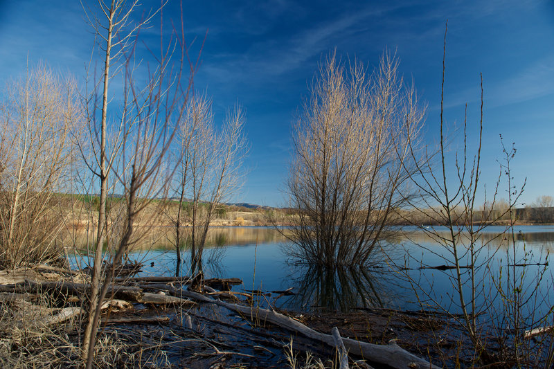 Explore the shoreline near the Meadowlark Trail.