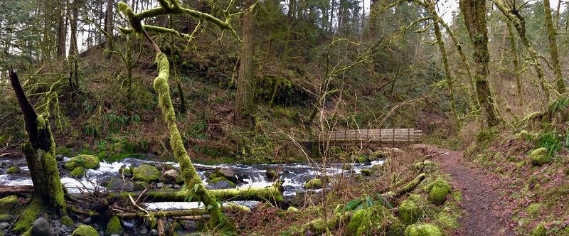 Cross Moffett Creek via this sturdy bridge.