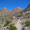 The western ascent up the Marufo Vega Trail is steep and littered with rocky footing.