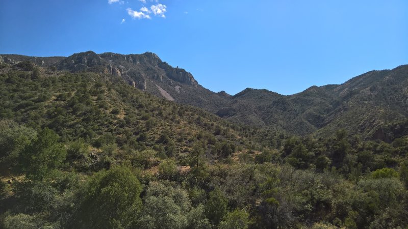 Emory Peak stands left-of-center from the Laguna Meadow Trail.