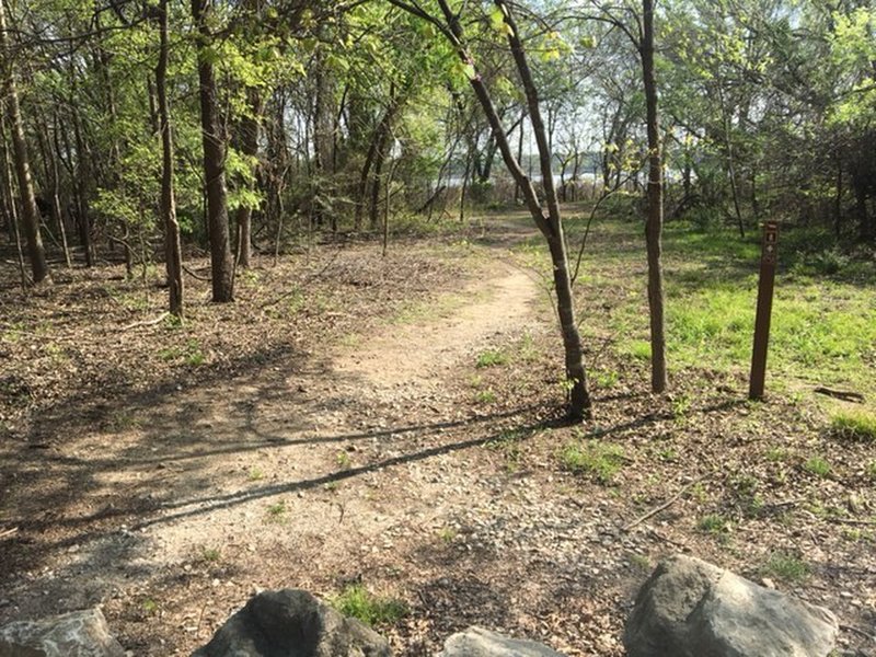 This is the start of the eastern portion of the Riverbottom Trail.
