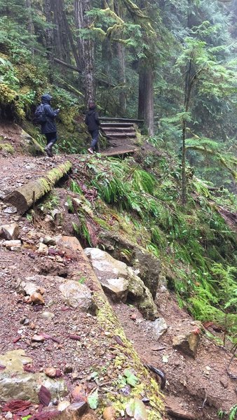 Excitement is high as we near the viewpoint.