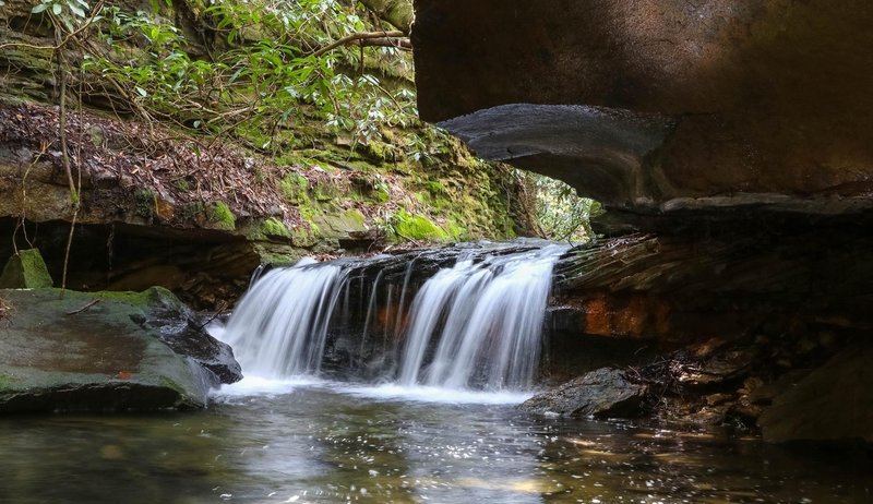 A small waterfall cascades along the Fall Branch Trail.