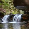 A small waterfall cascades along the Fall Branch Trail.