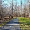 The Paint Branch Trail offers the solitude of a walk in the woods just minutes from Route 1 and Cherry Hill Rd.