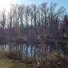 This is the pond at the northern terminus of the trail. What beauty exists so close to the Beltway!