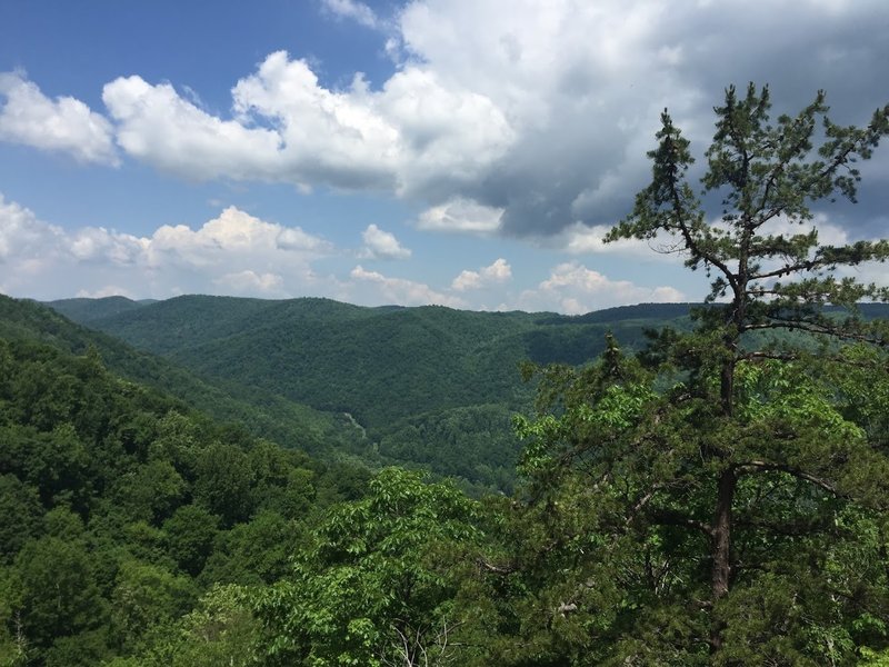 Take in this beautiful view from the Crabtree Falls Trail.