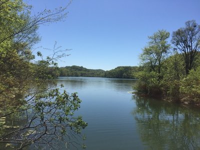 Radnor Lake