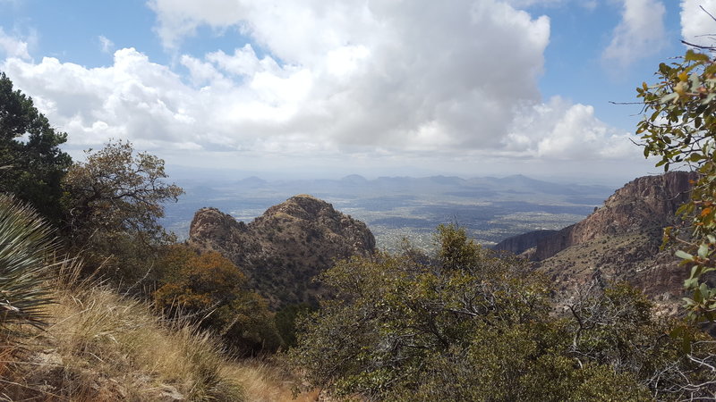 From high on the Finger Rock Trail, look over your shoulder to the south to experience pleasant views of suburban Tucson.