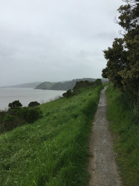 Heading out on the Benicia Bay Trail toward Dillon Point, enjoy pleasant coastal views.