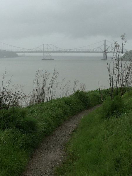 Enjoy this view looking out from the Benicia Bay Trail toward the Zampa Memorial Bridge.