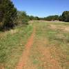 The trail looks like this as it goes behind a nearby neighborhood.