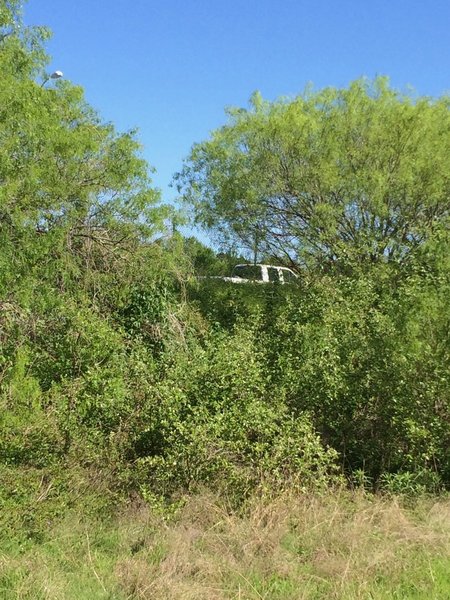 While at times it may not feel like it, you get pretty close to the freeway along the trail.