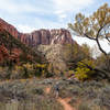 Enjoy phenomenal scenery on your way to Kolob Arch.