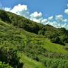 The Boundary Trail winds along a grass and brush-covered hillside.