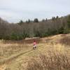 The Boone Fork Trail heads into the meadow before diving back into the forest.