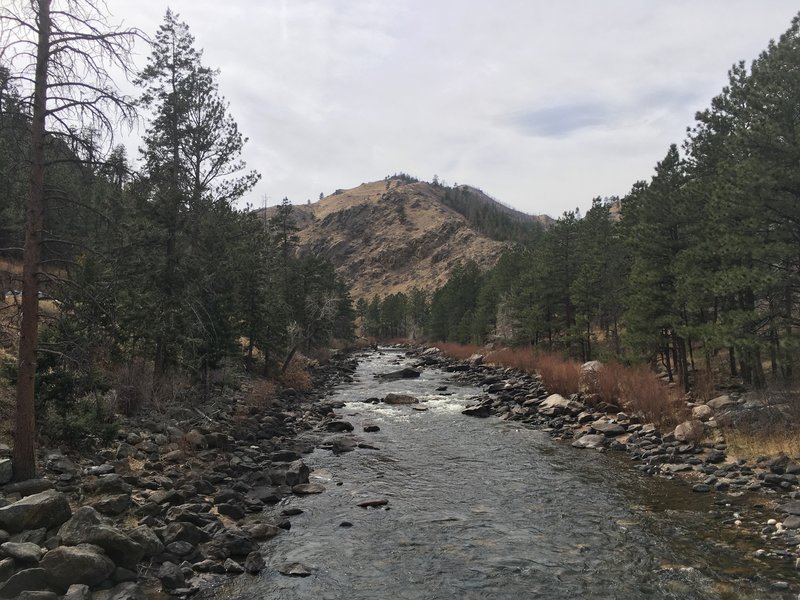 The Poudre River looks beautiful from the bridge on the Greyrock Trail.