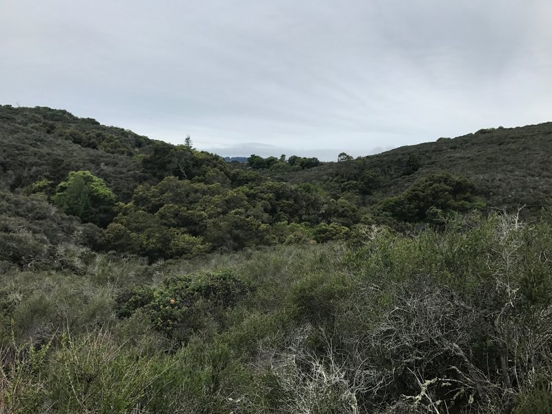 Views across the preserve are fleeting, but available along the Polly Geraci Trail.