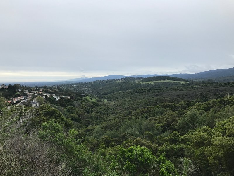 The best views in the preserve are from the top of the Dusky-footed Woodrat Trail. Views of the South Bay, Edgewood Preserve, and the surrounding communities can be seen from here.