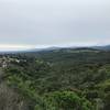 The best views in the preserve are from the top of the Dusky-footed Woodrat Trail. Views of the South Bay, Edgewood Preserve, and the surrounding communities can be seen from here.