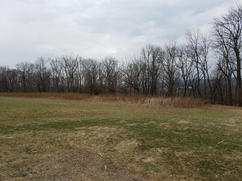 North Pointe Park offers scenic views.