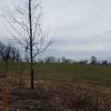 North Point Park is full of grassy fields.