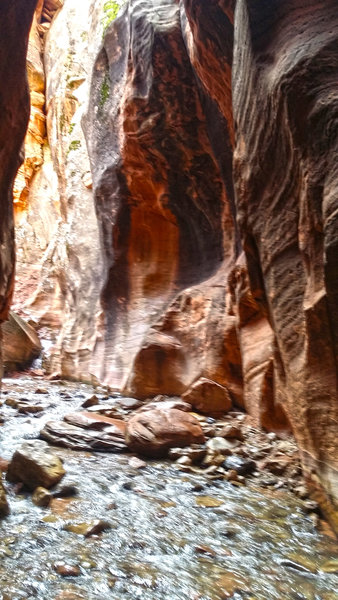 Shortly after you enter the slot canyon, your only option is to get your feet wet.