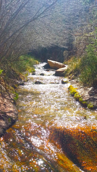 Kanarra Creek gurgles out of the canyon.