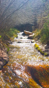 Kanarra Creek gurgles out of the canyon.
