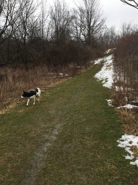 The uphill section of the Seneca Trail south of Boughton Hill Road.