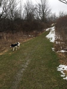 The uphill section of the Seneca Trail south of Boughton Hill Road.