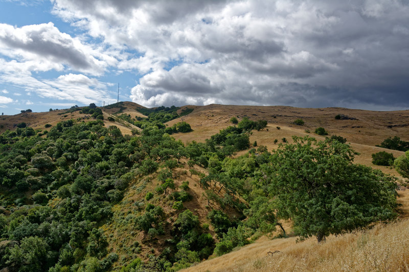 Coyote Peak stands in the distance from the Hidden Springs Trail.