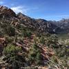 The view looking southwest from near the high point on the White Rock Loop is just gorgeous.